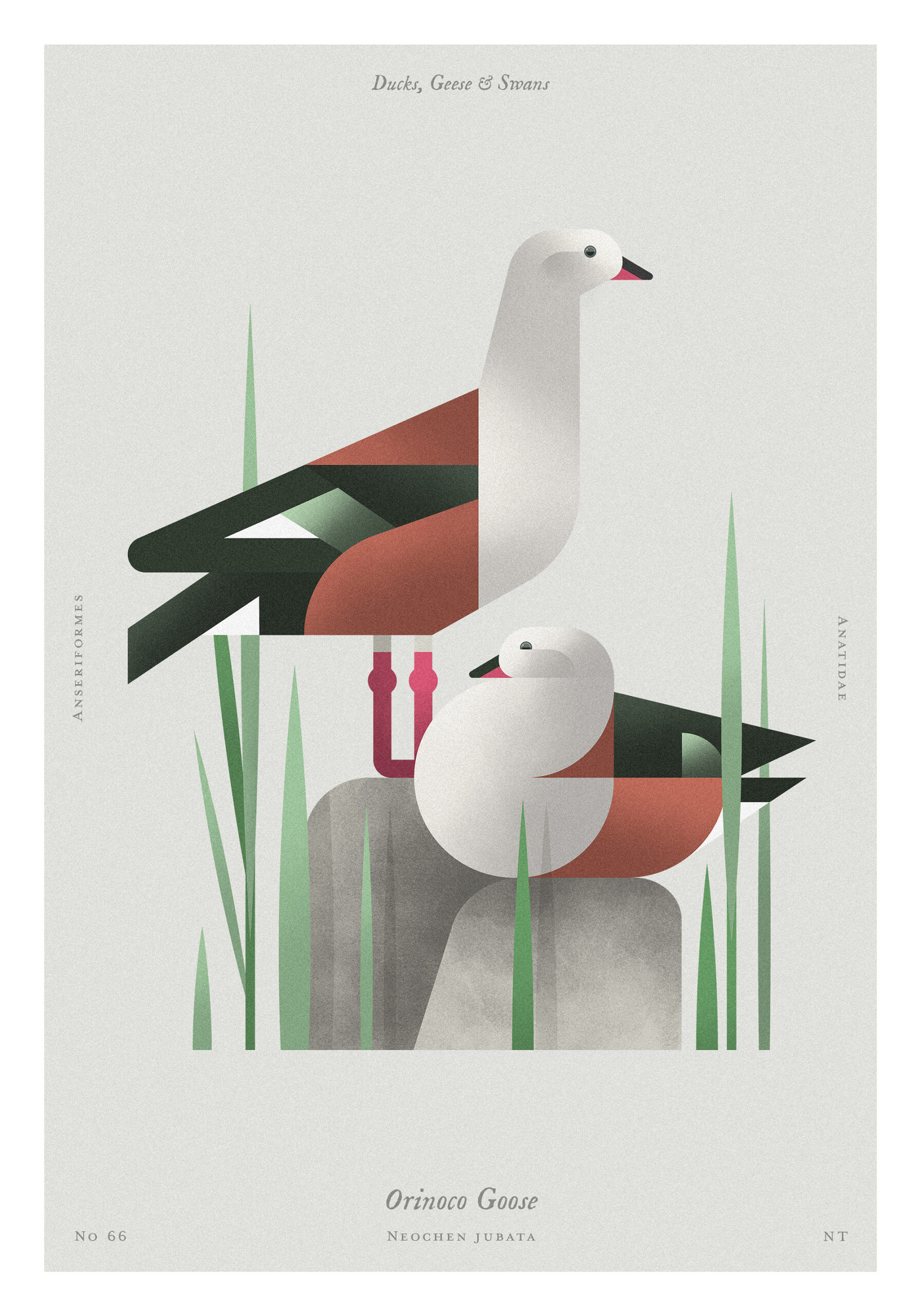 14_teccopastel225_210x300_x1