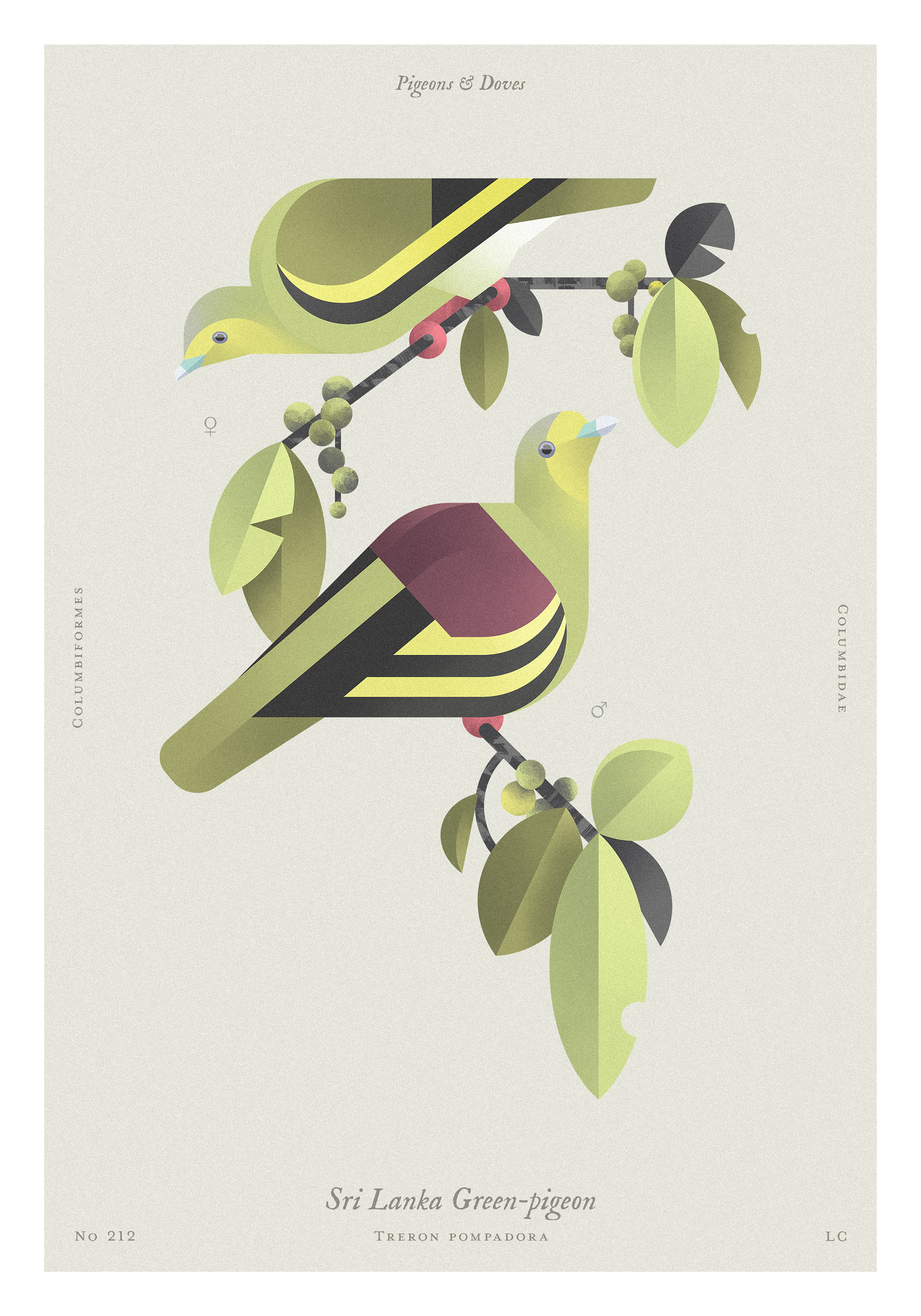 2_teccopastellmatt225_21x30_3szt