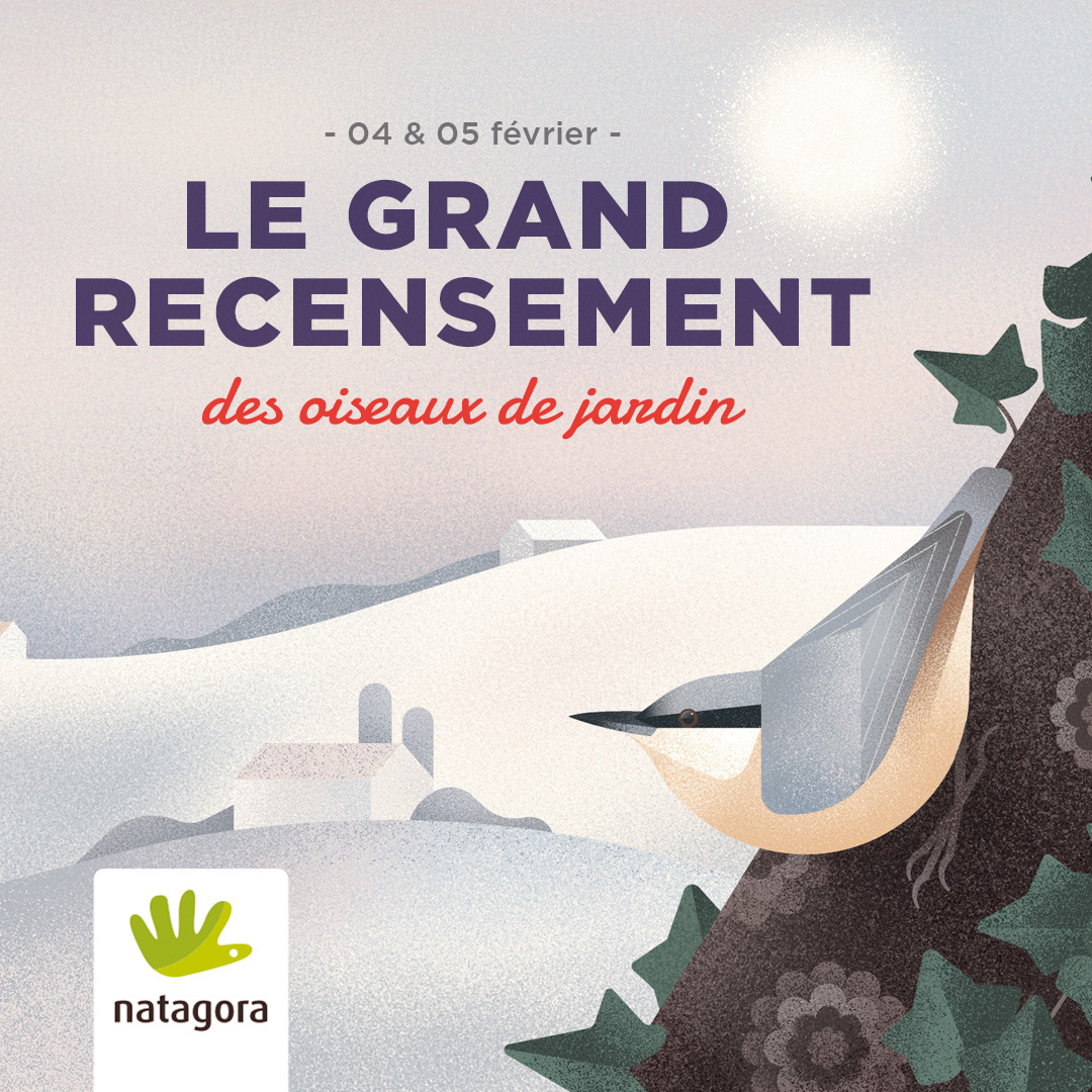 326765587_694251032135853_7854486001174723303_n