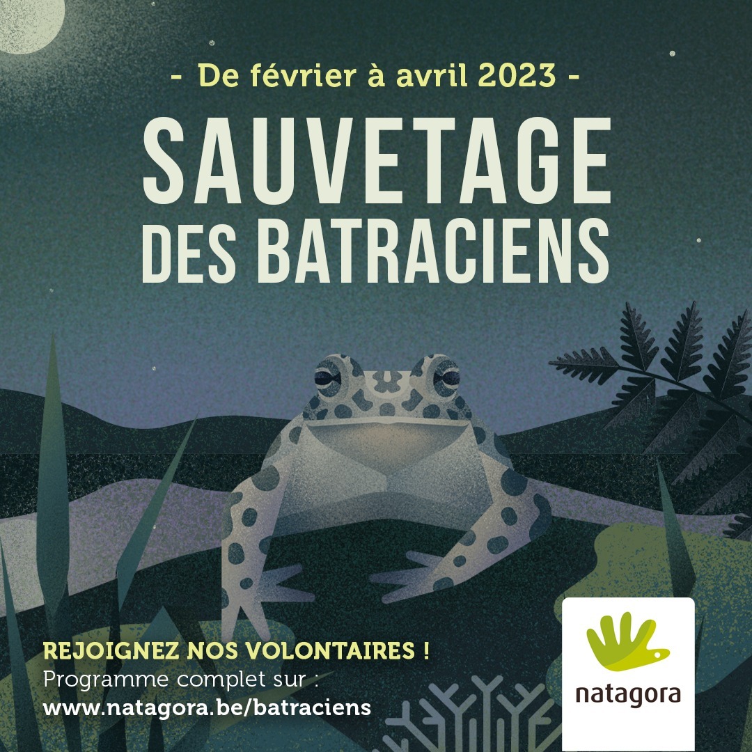 334778969_1796381380756298_1521724743601955250_n