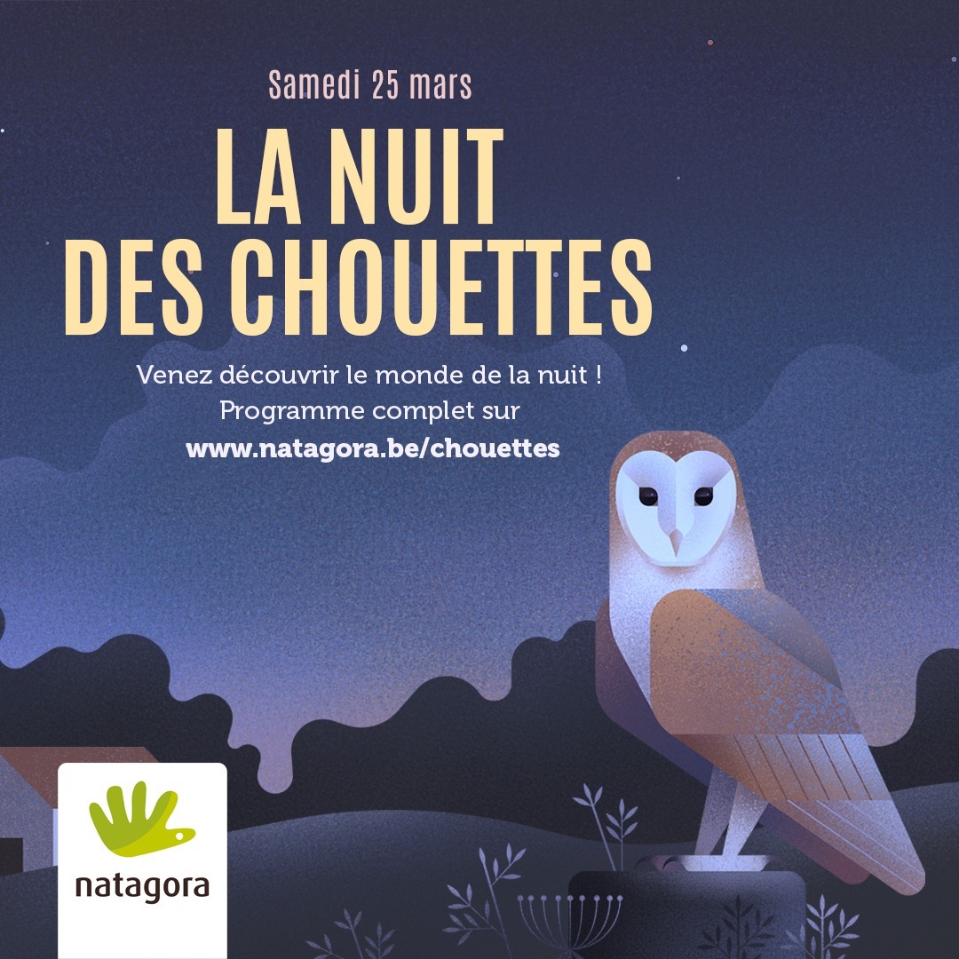 336200278_790741089236389_5504935019502969544_n