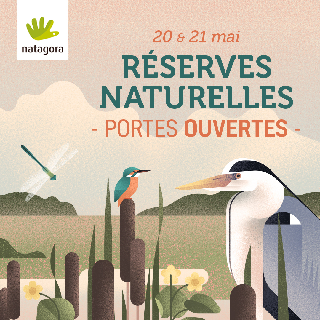 345487849_544716547741234_853466764811482845_n