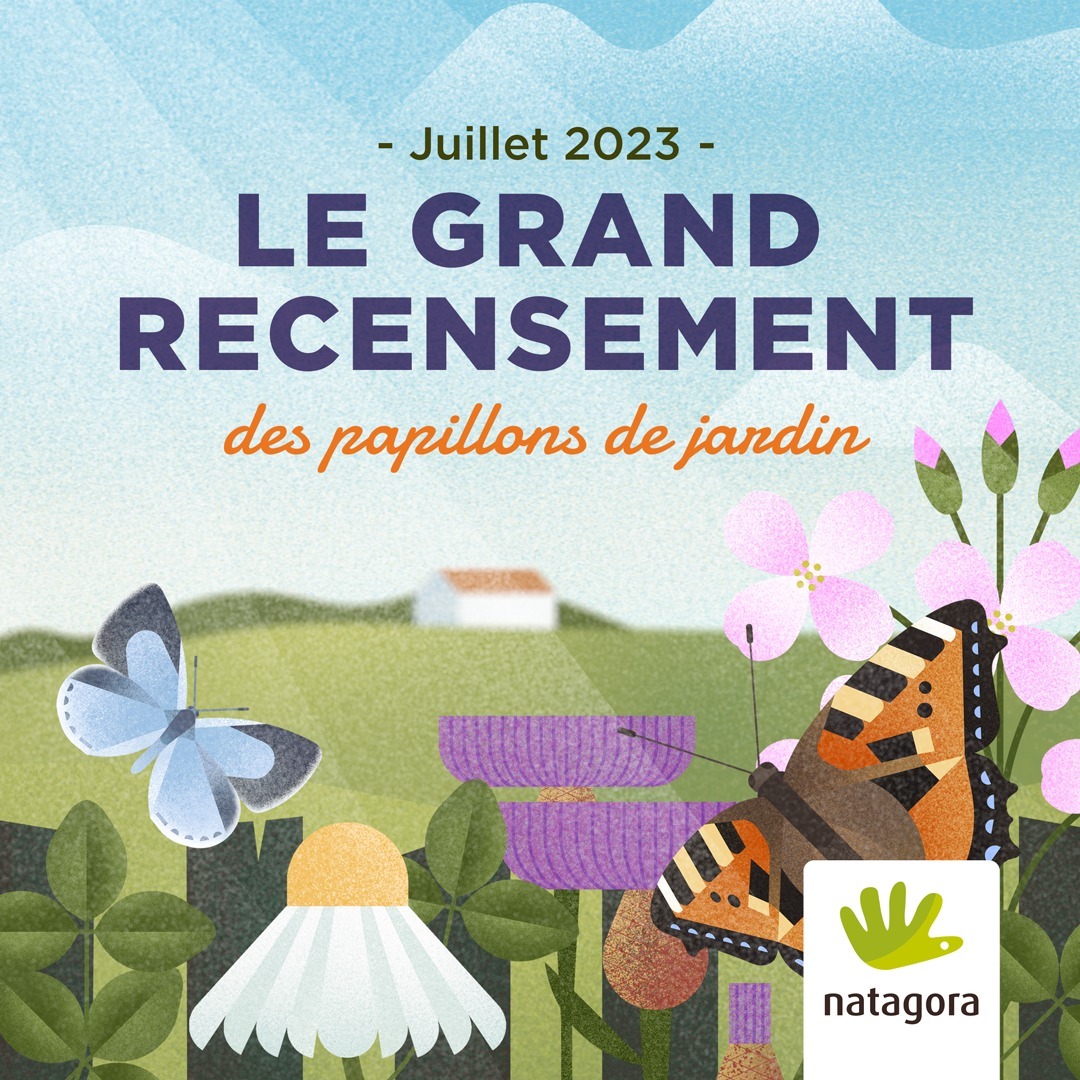 356233583_3480396738898105_2126026852548952517_n