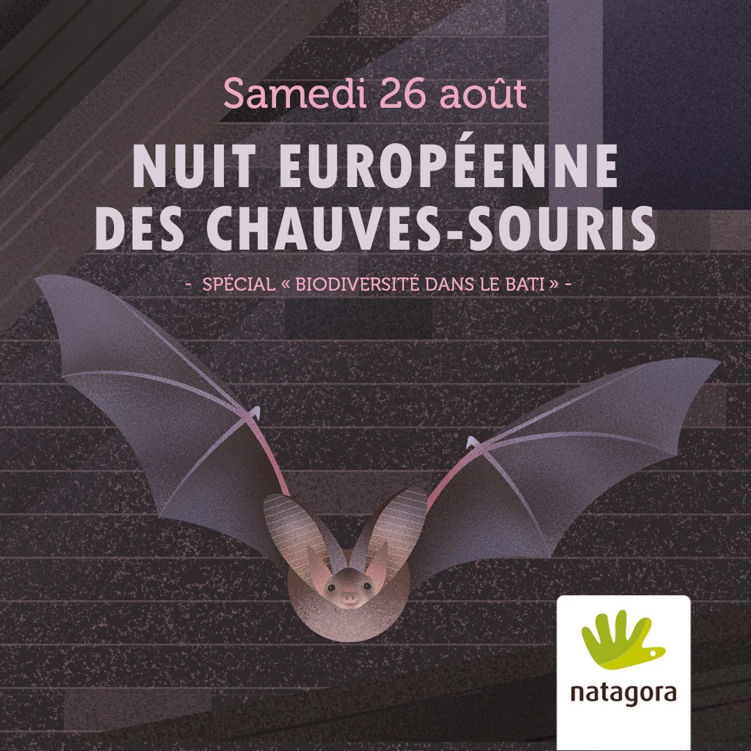 367398418_2602308796589442_5319125987764019966_n