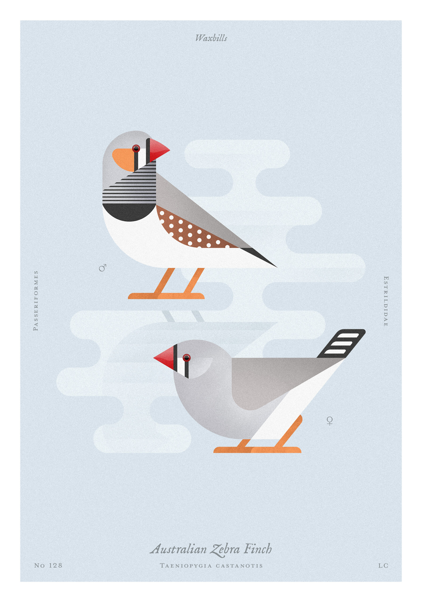 3_teccopastel225_210x300_x2