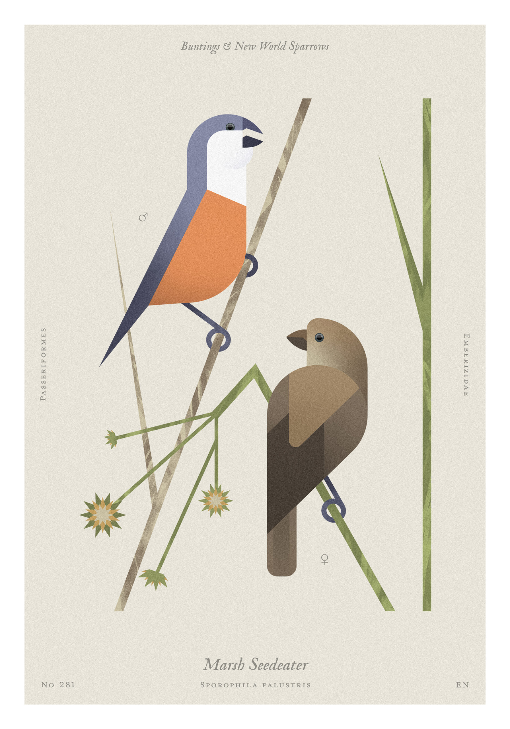 4_teccopastellmatt225_21x30_2szt