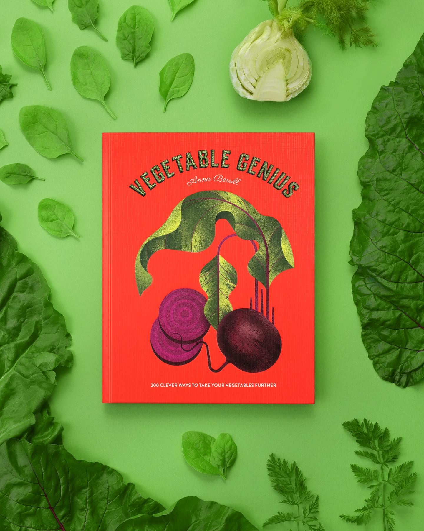 501535079_18006646187747446_5496341542445929829_n 501535079_18006646187747446_5496341542445929829_n