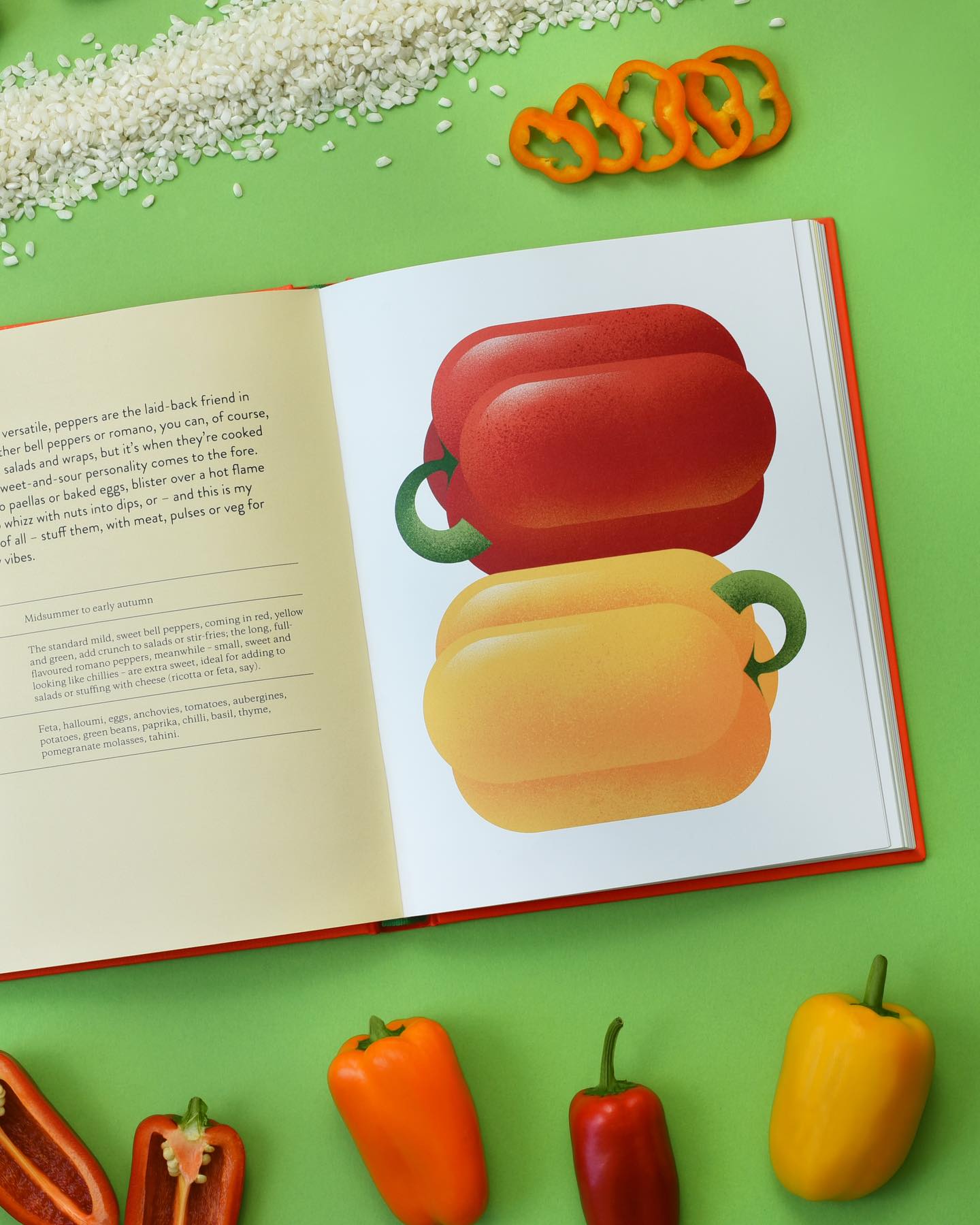 501597053_18006646226747446_6317137034503982753_n 501597053_18006646226747446_6317137034503982753_n