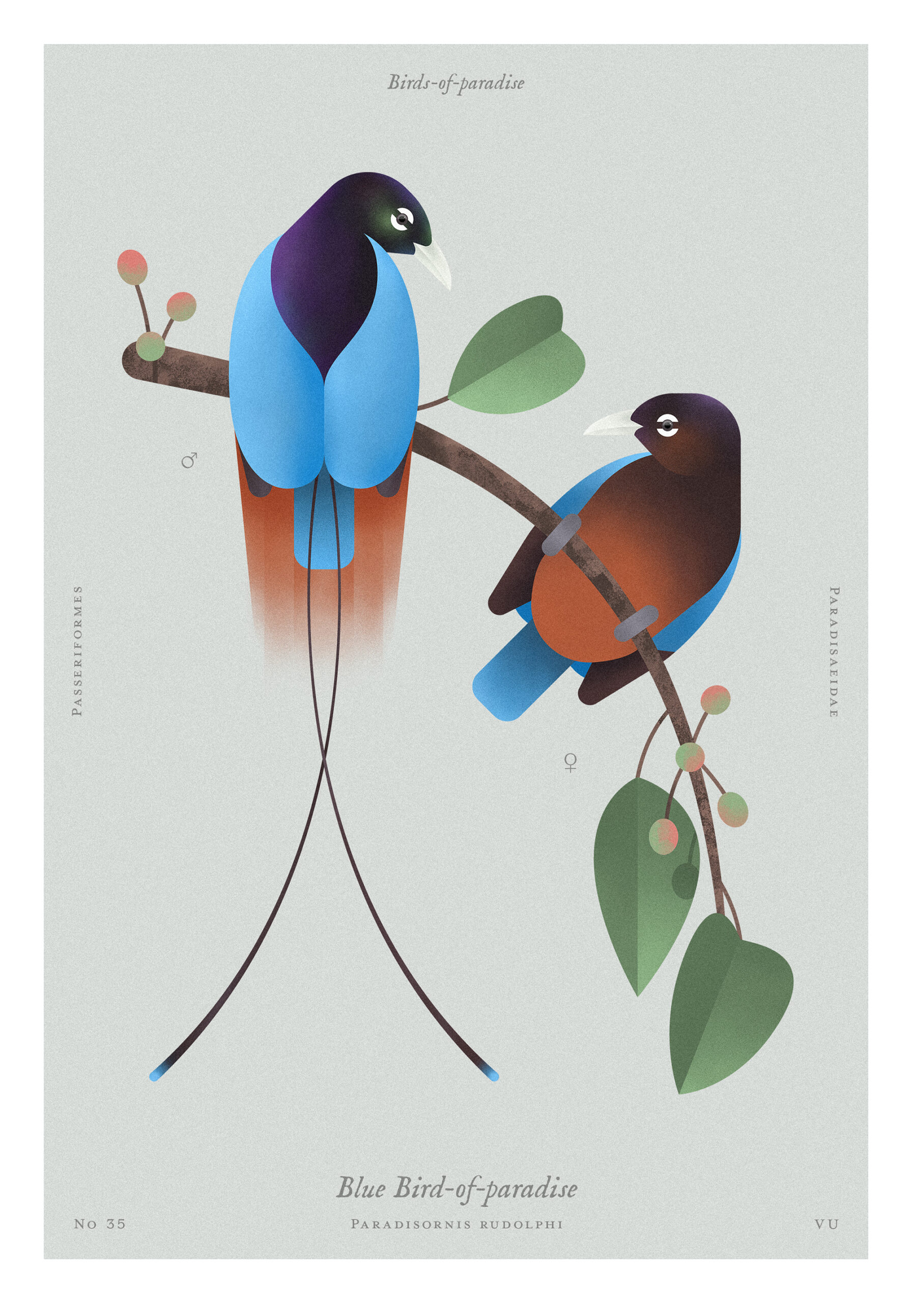 6_teccomatt225_210x300_rajski_2x