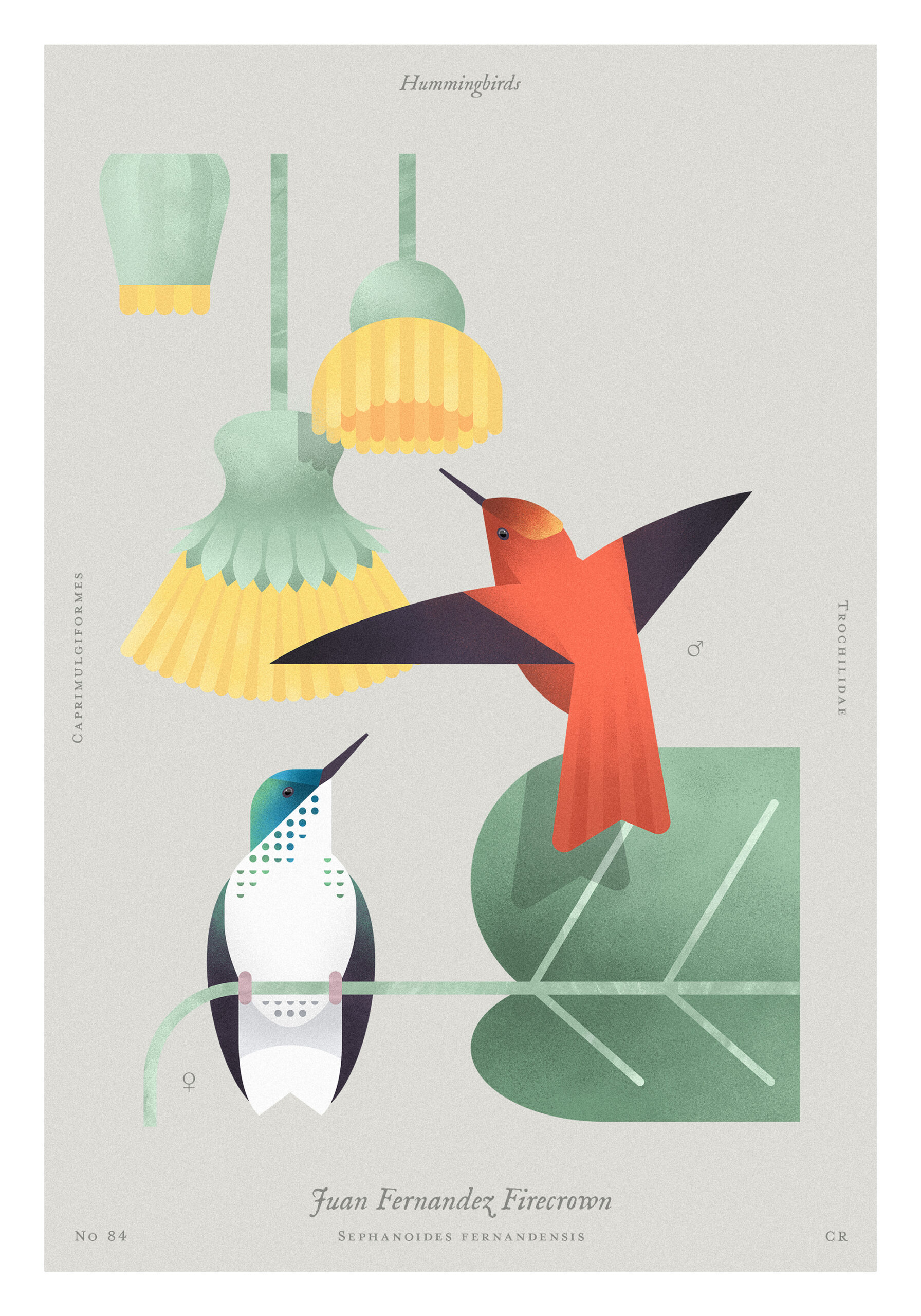 7_teccomatt225_210x300_koliber_2x