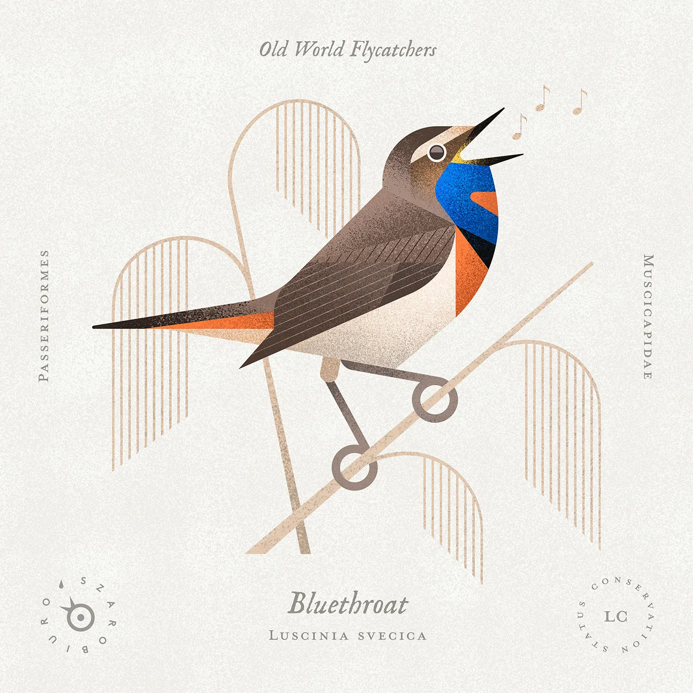 bluethroat