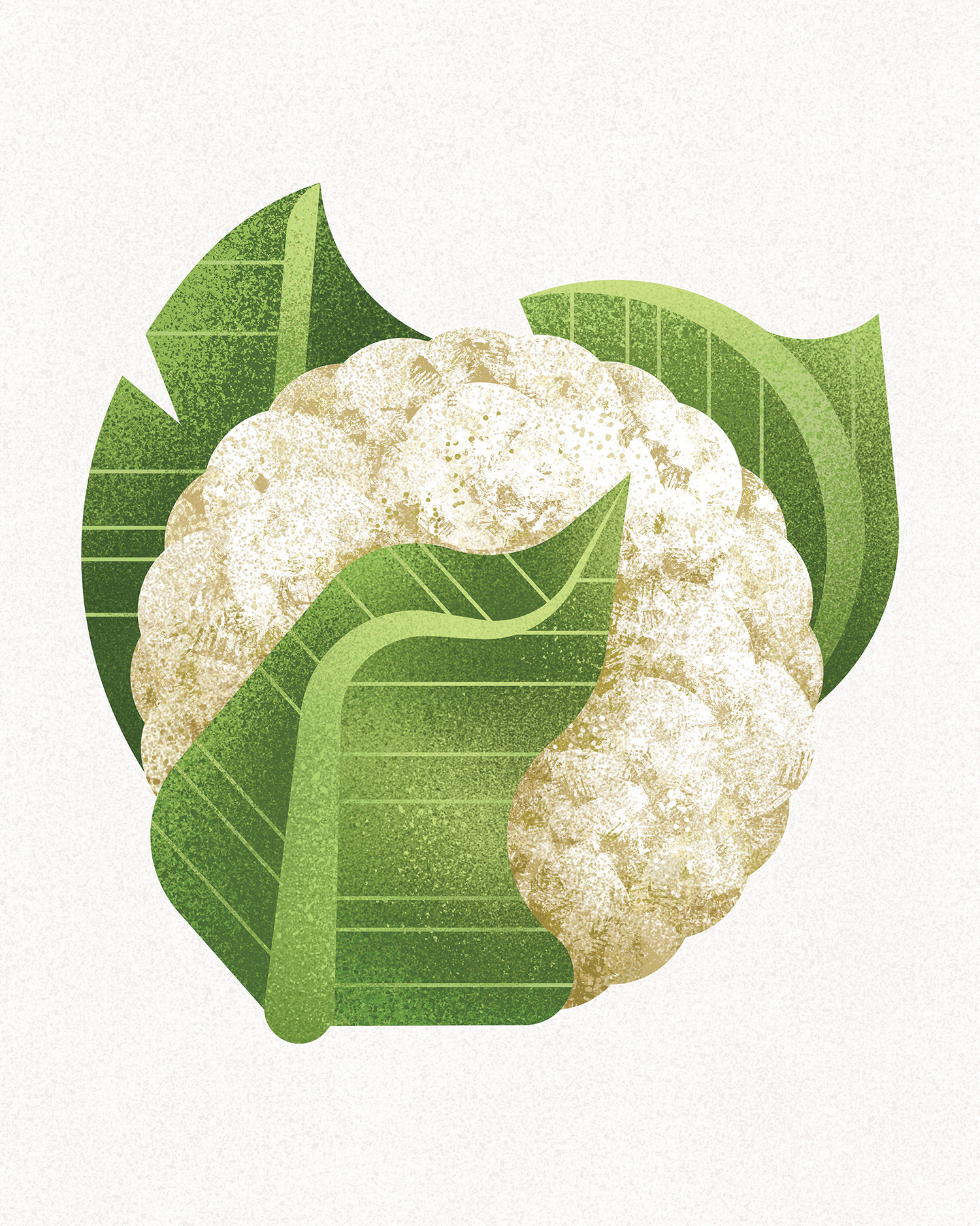 cauliflower cauliflower