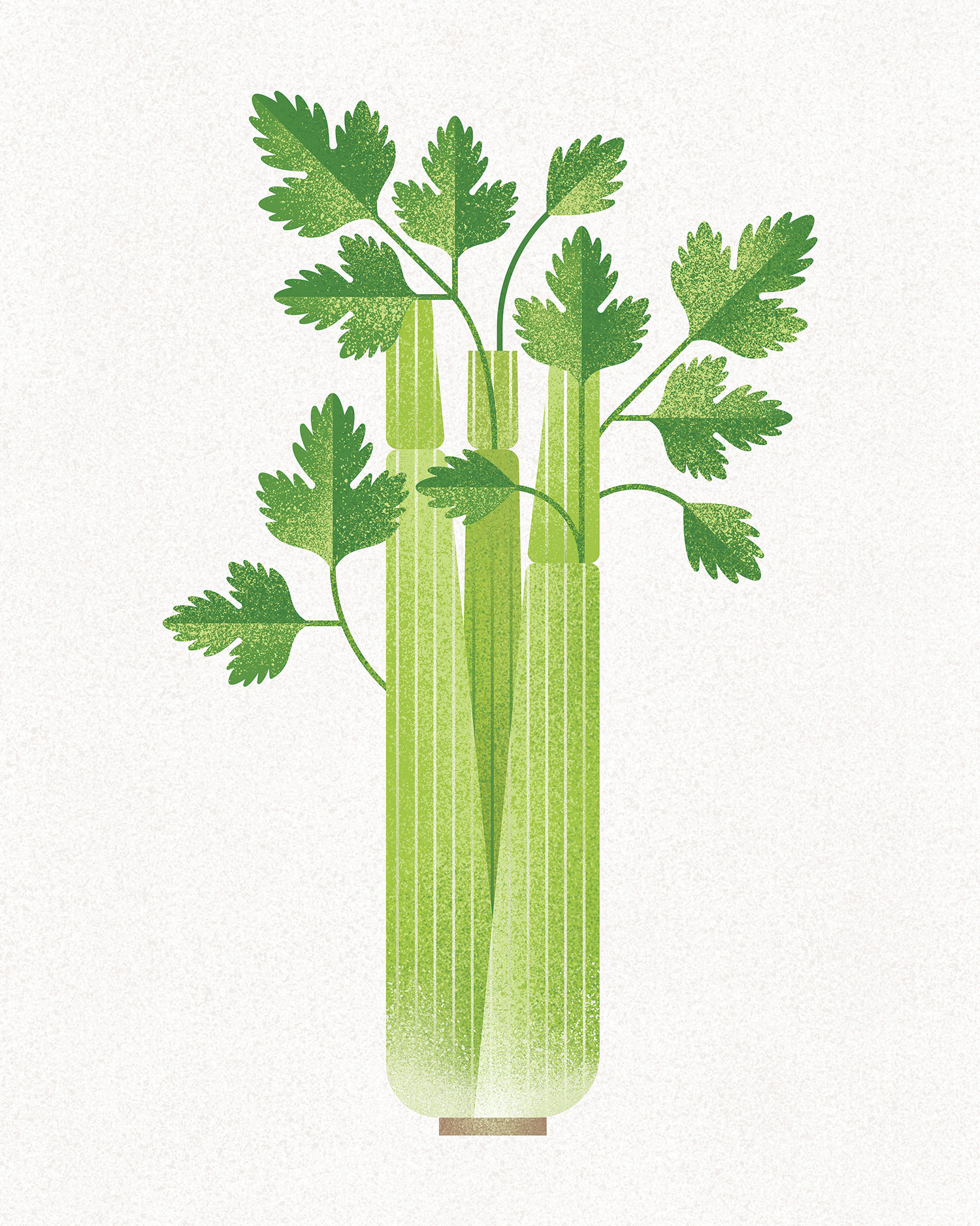 celery celery
