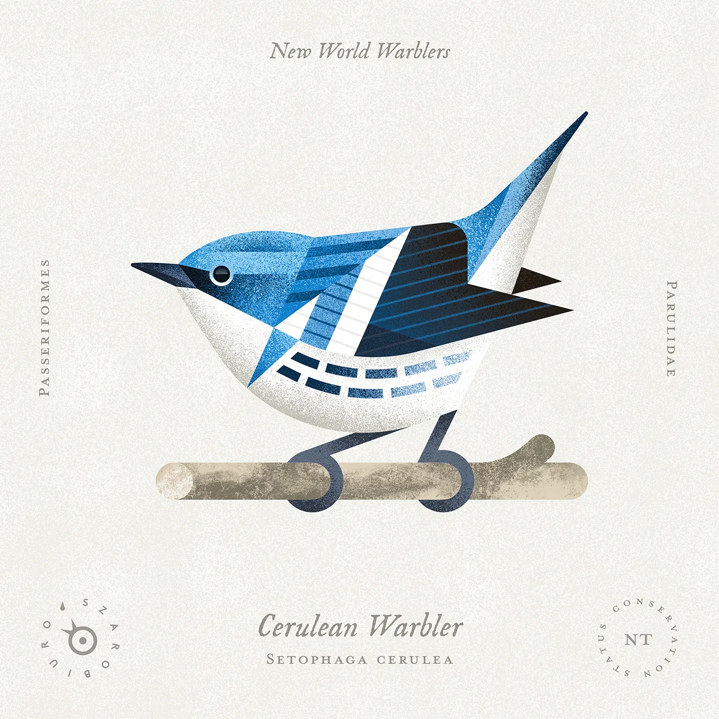 cerulean_warbler