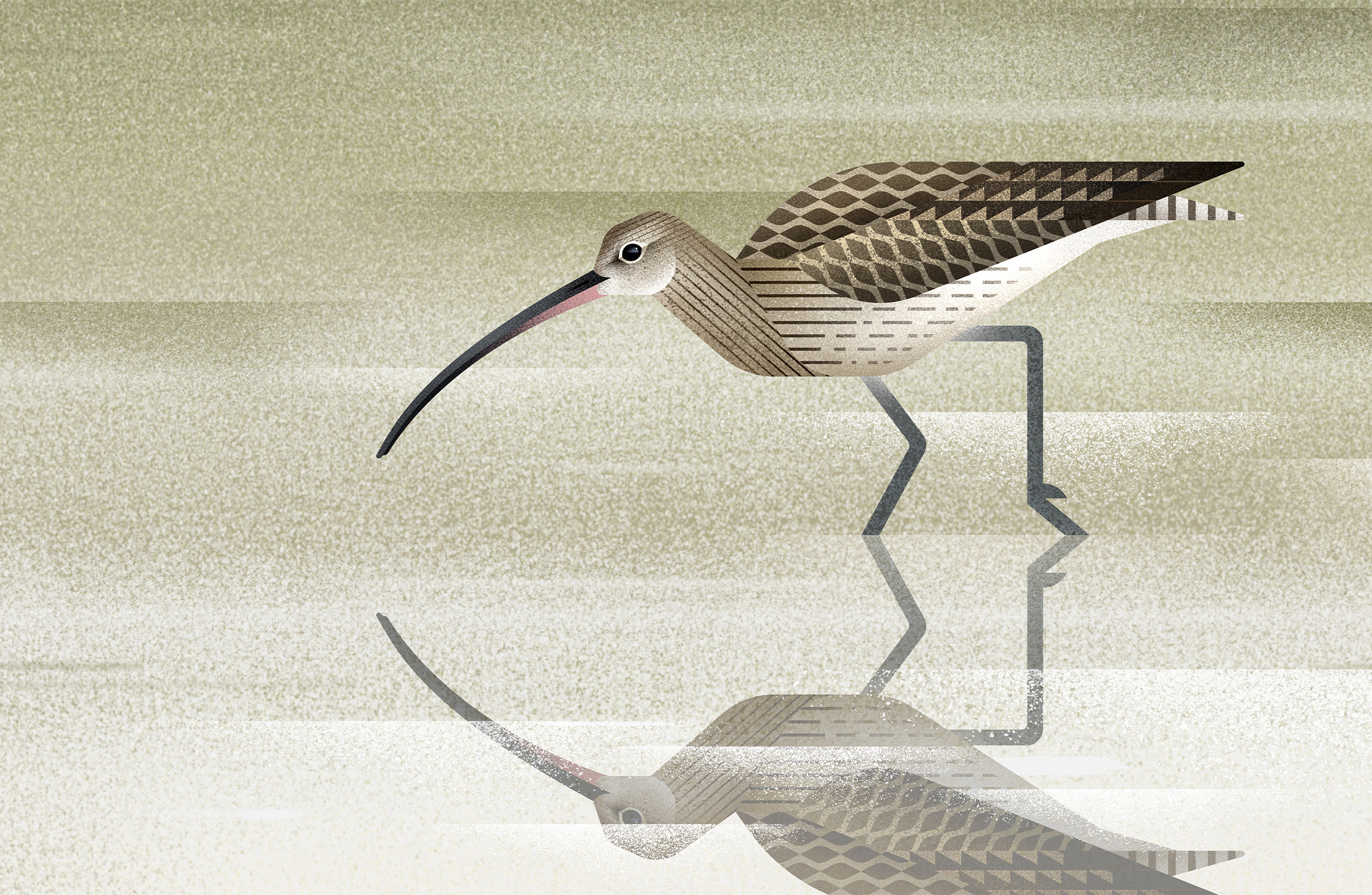 facebook_820x360 facebook_820x360