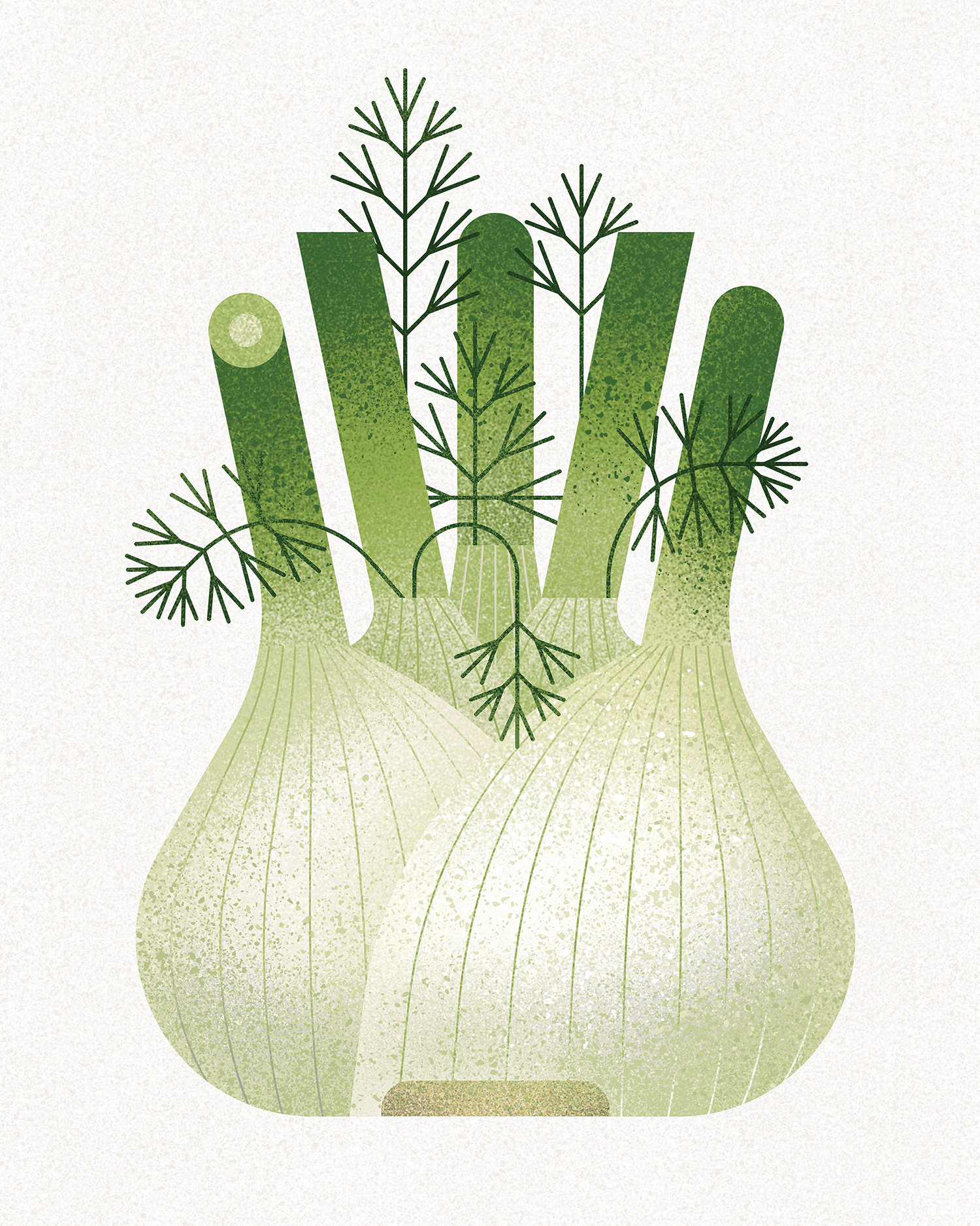 fennel fennel