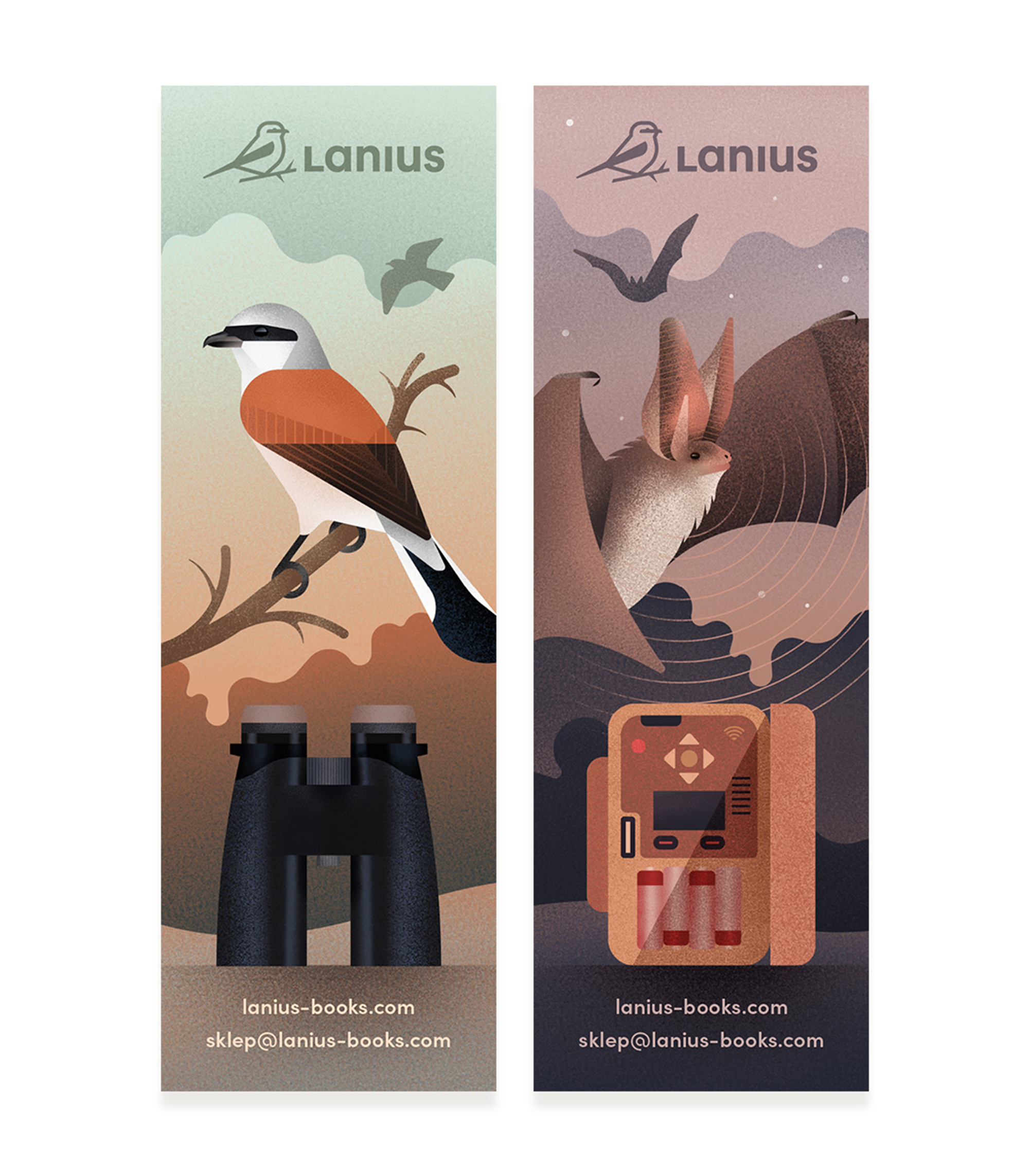 Various Illustrations