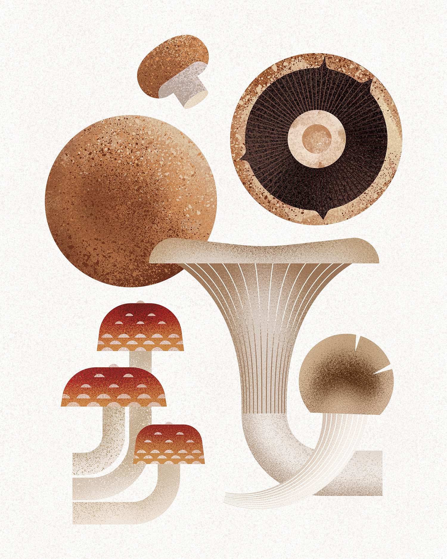 mushroom mushroom