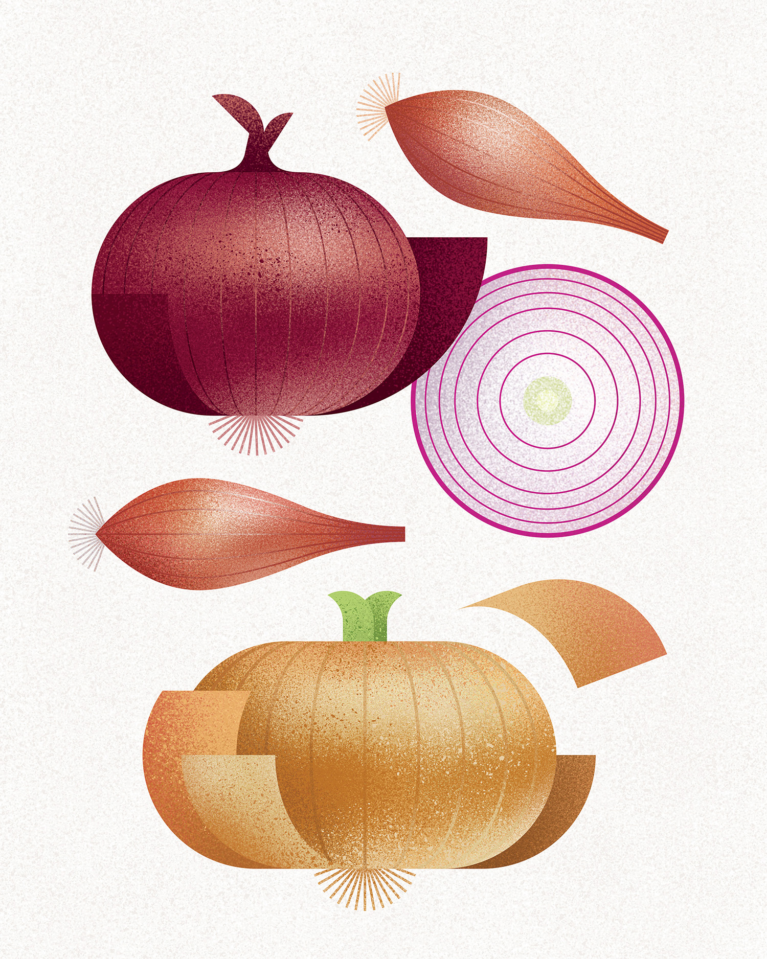 onion onion