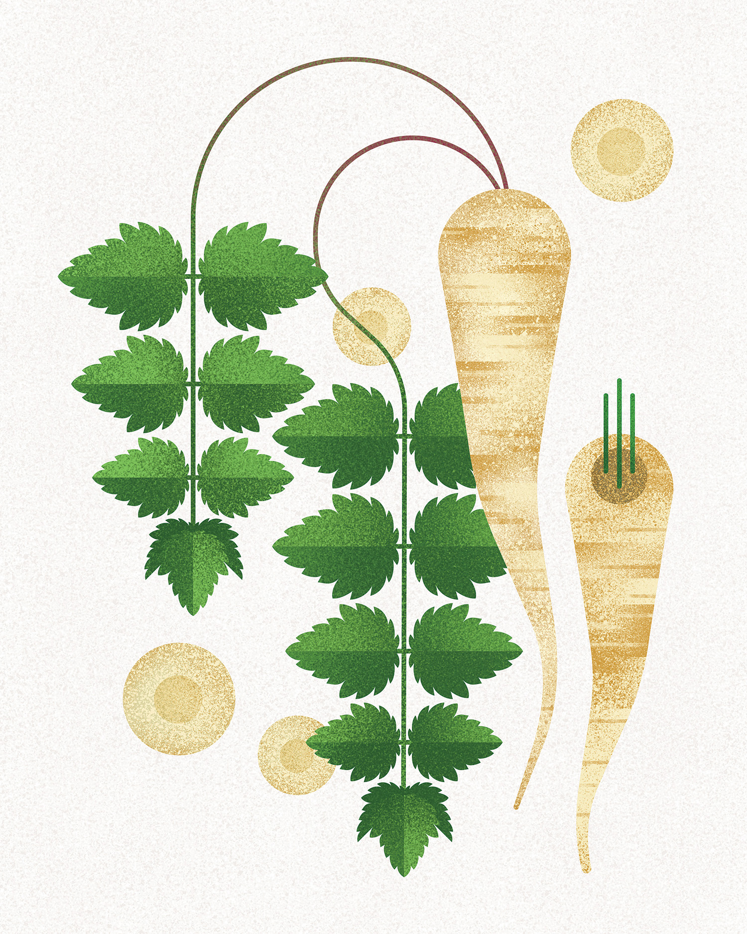 parsnip parsnip