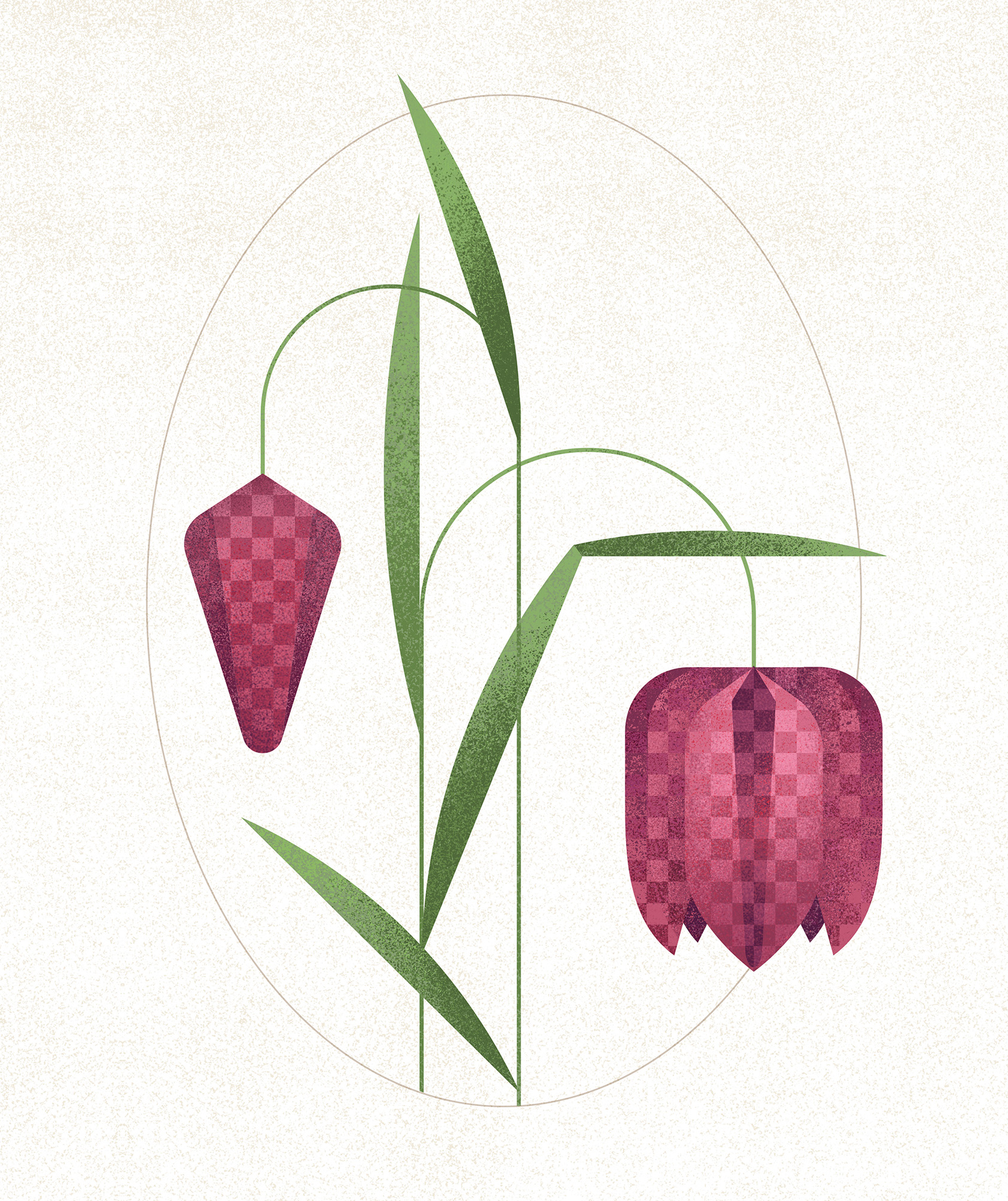 Snake’s-head fritillary