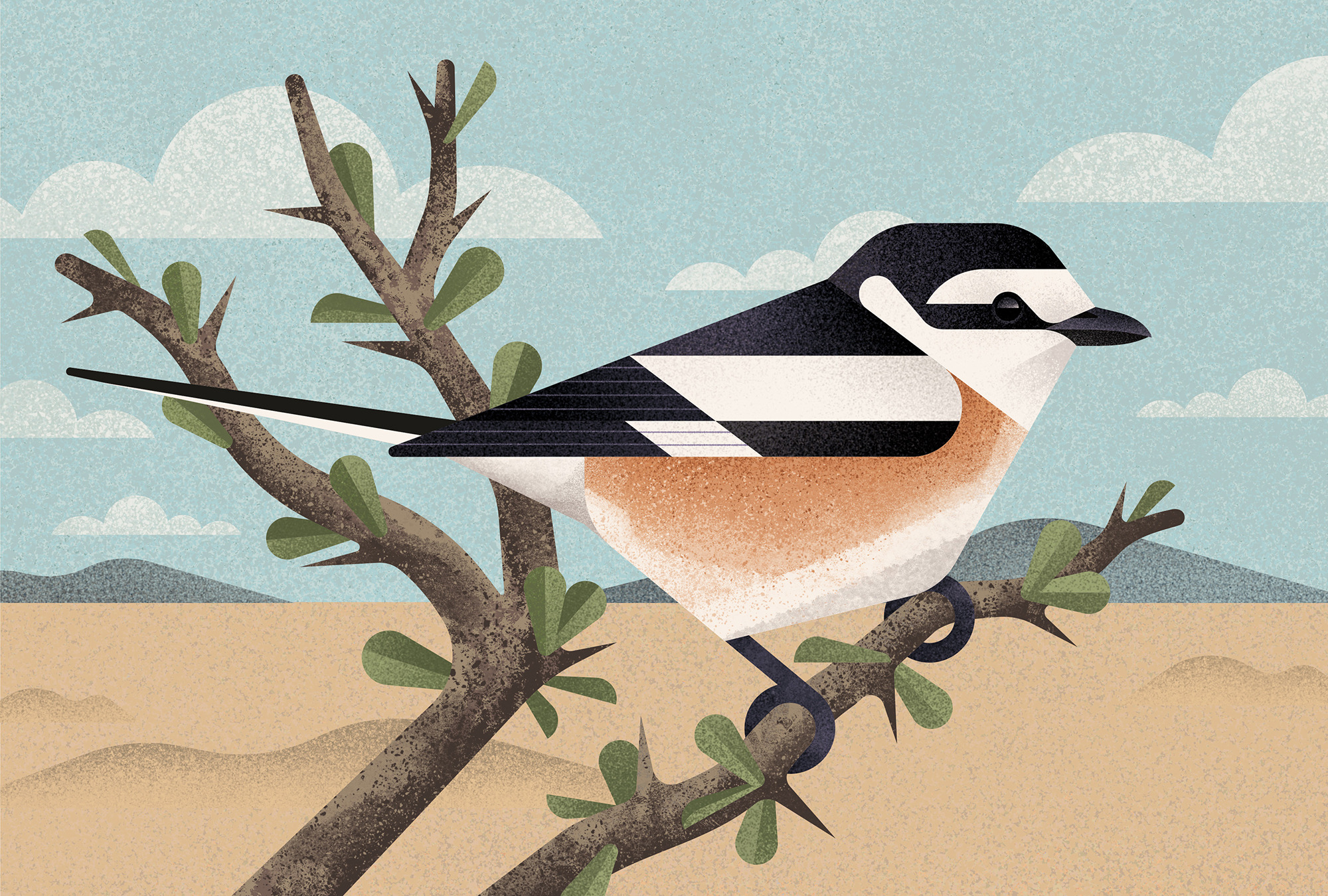 tumblr_7a4a01d15ab89e22aaee88bb7175c724_aa7f0b4c_2048 tumblr_7a4a01d15ab89e22aaee88bb7175c724_aa7f0b4c_2048