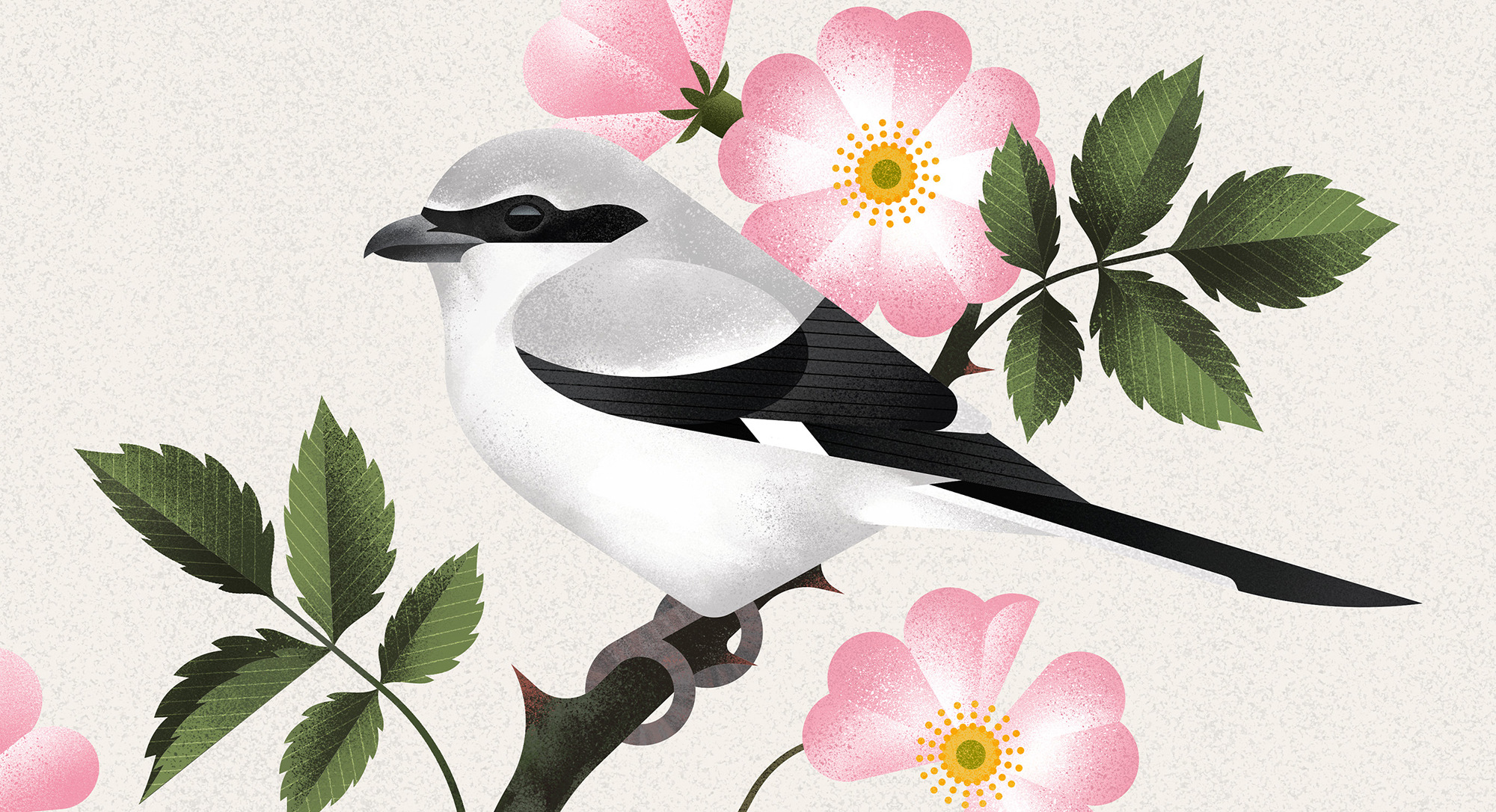 tumblr_b87447e09815842e5338a3b33ffc6254_08bfa19b_2048 tumblr_b87447e09815842e5338a3b33ffc6254_08bfa19b_2048