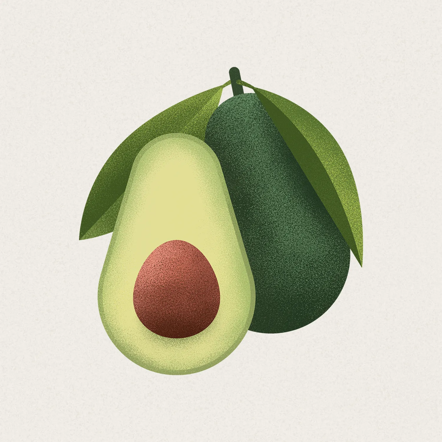 avocado kopia