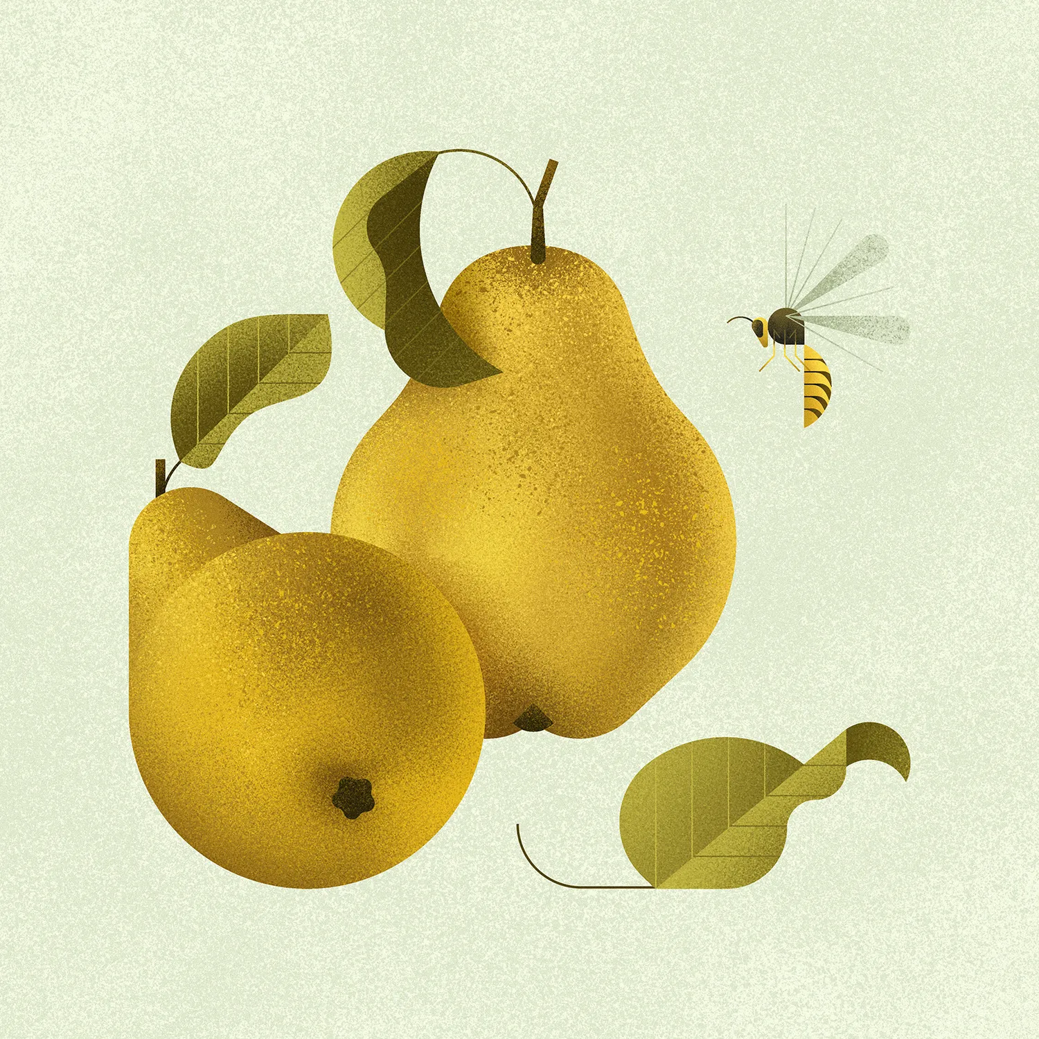 Pears & wasp