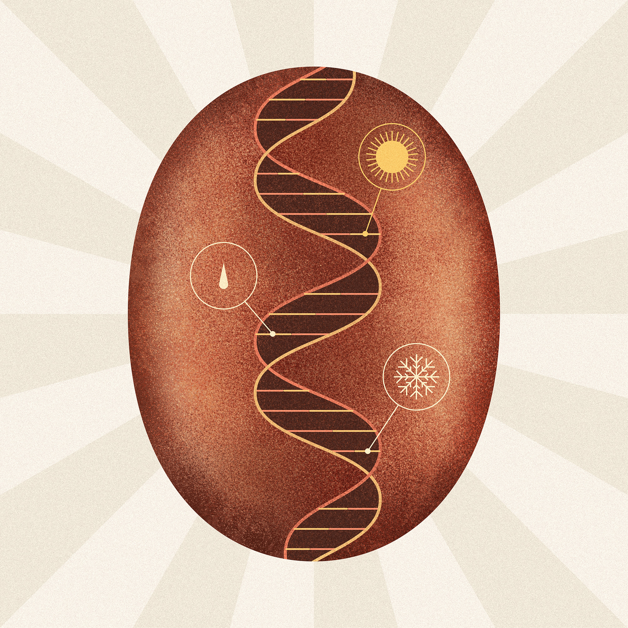 dna dna