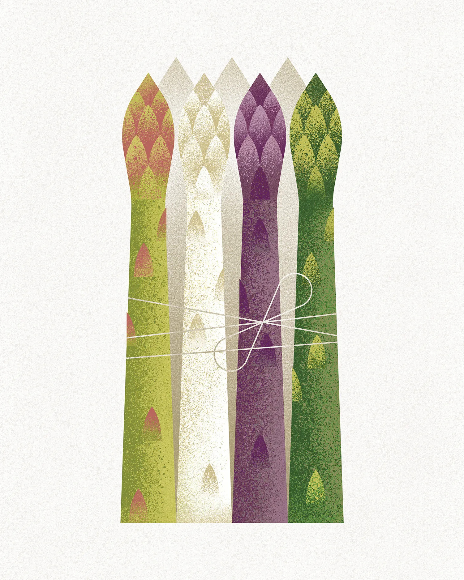 asparagus-1