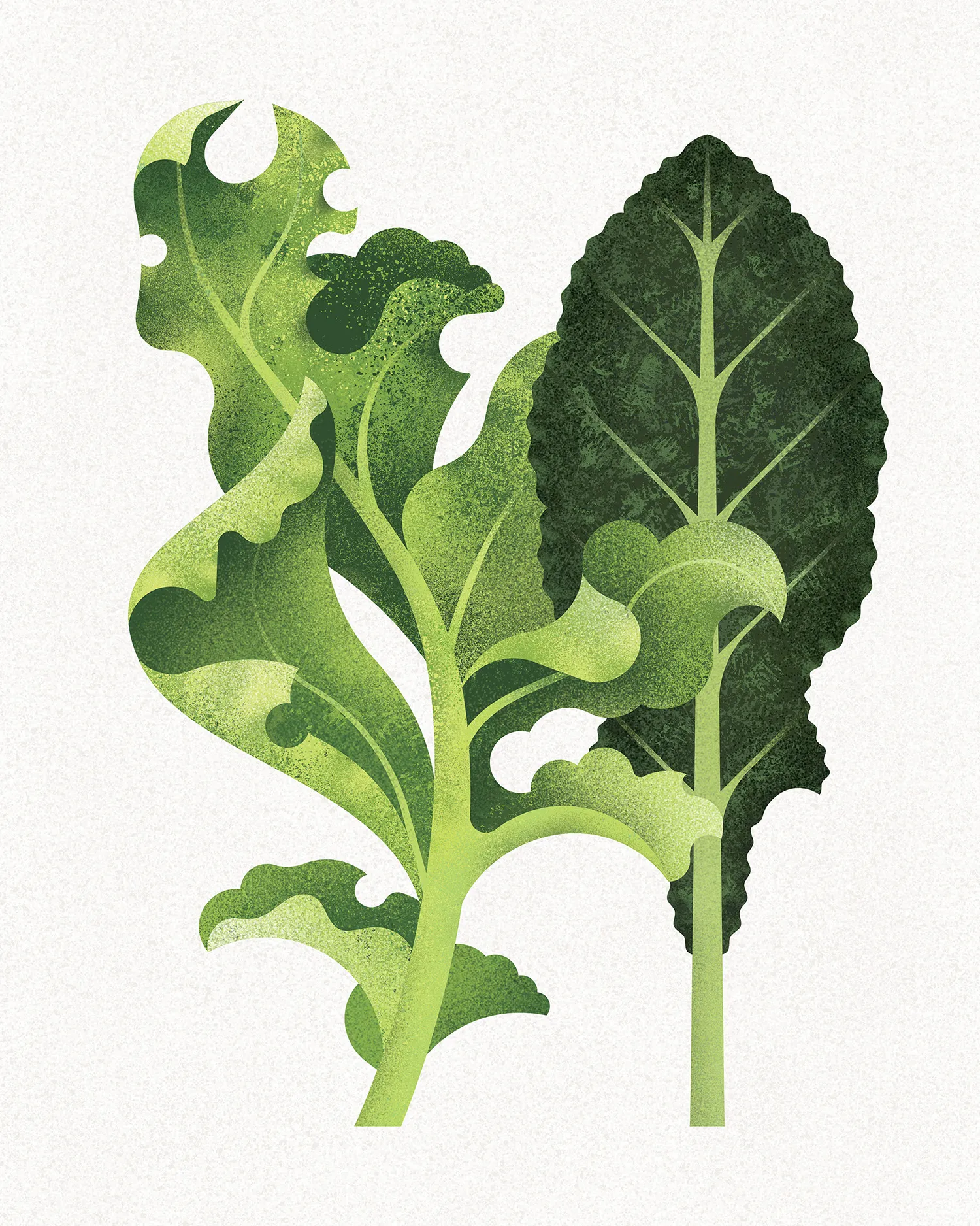 kale-1