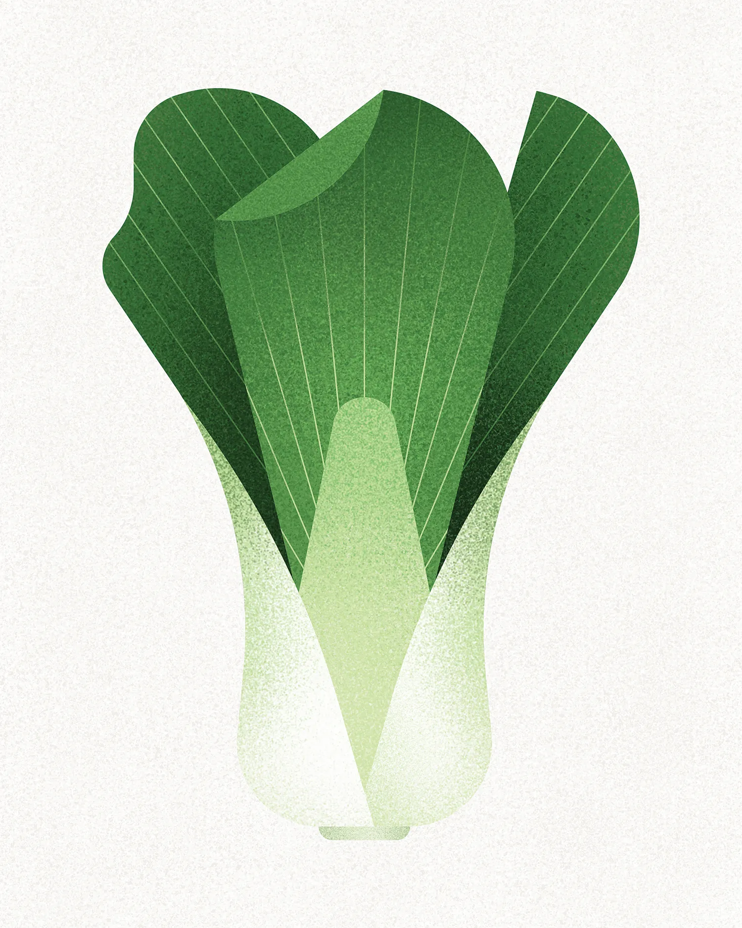 pakchoi-1